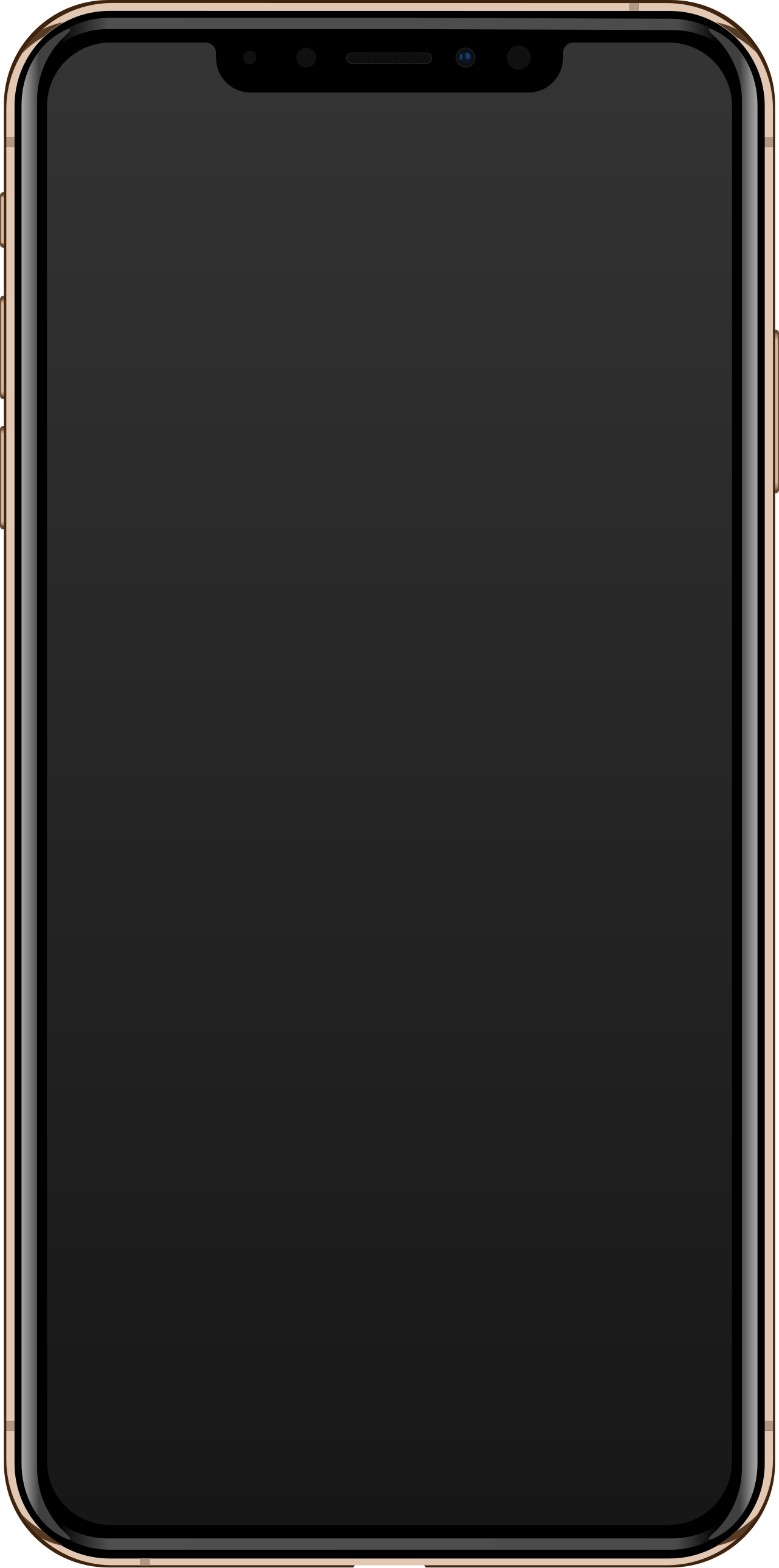Apple iPhone XS Max — manufacturer product photograph