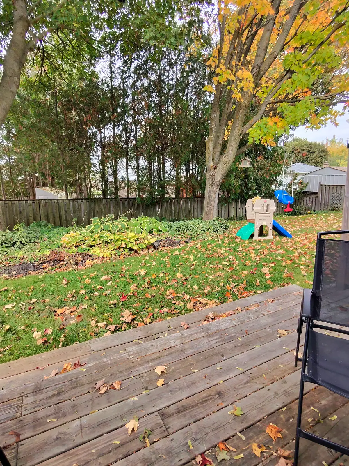 Backyard in autumn photographed through Ray-Ban Meta glasses: deck with fallen maple leaves, lawn, trees and a fence