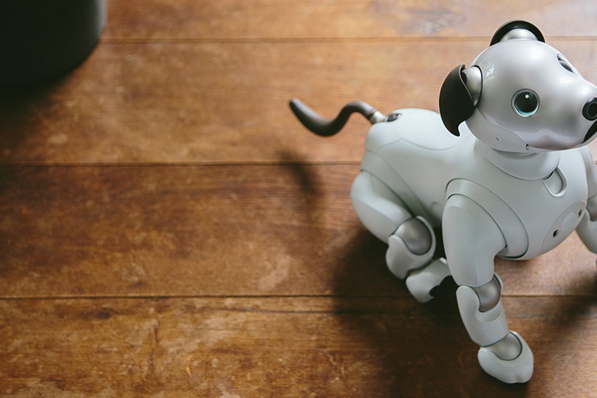 Sony aibo ERS-1000 — detail crop from the cited public reference image.