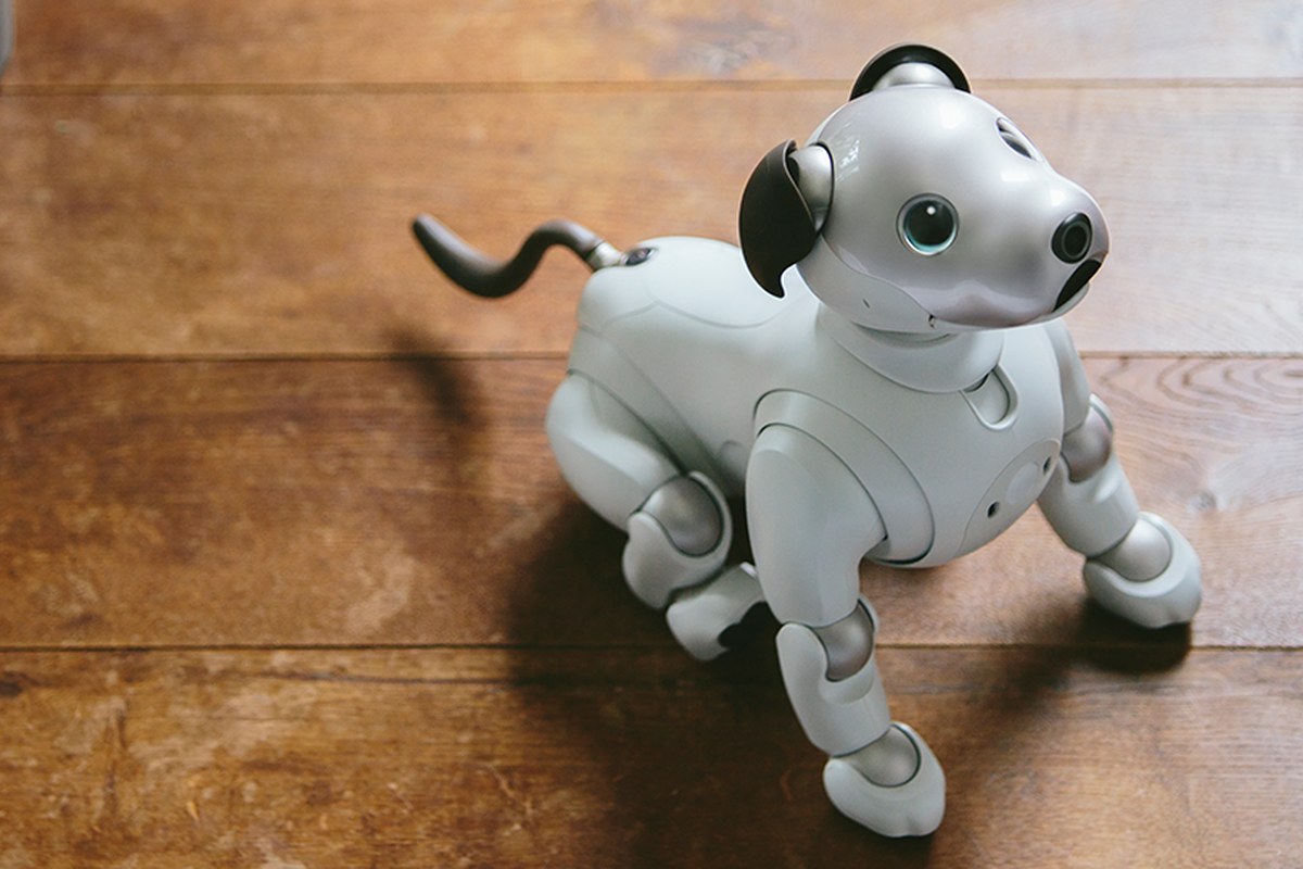 Sony aibo ERS-1000 — detail crop from the cited public reference image.
