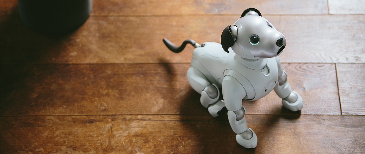 Sony aibo ERS-1000 — manufacturer product photograph